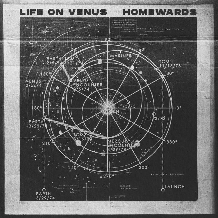 Life On Venus's avatar image