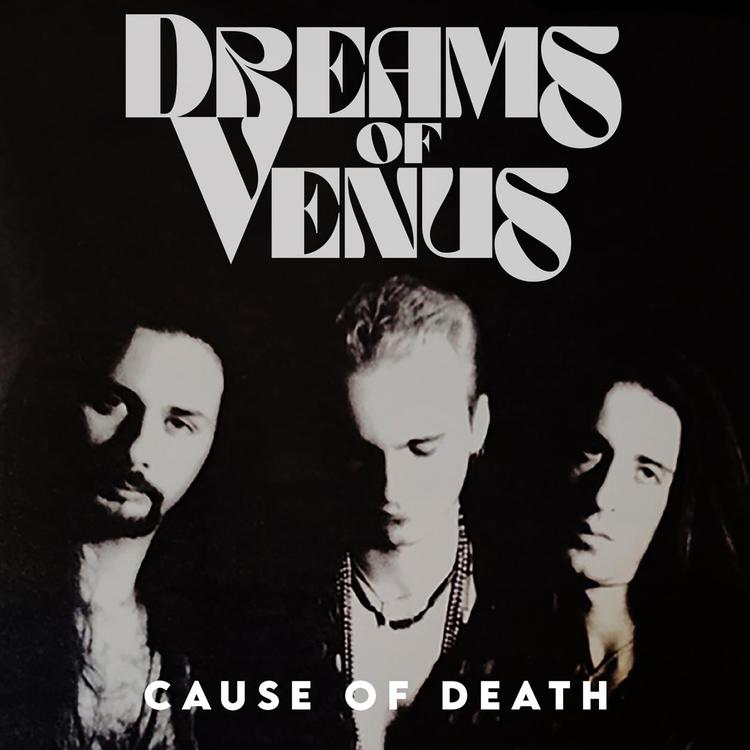 Dreams of Venus's avatar image