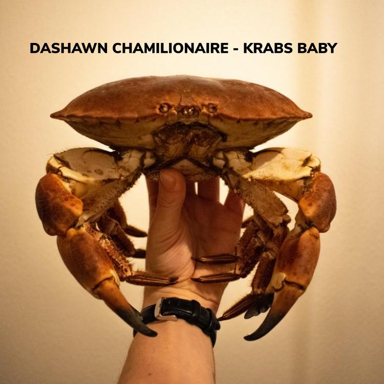 dashawn chamilionaire's avatar image