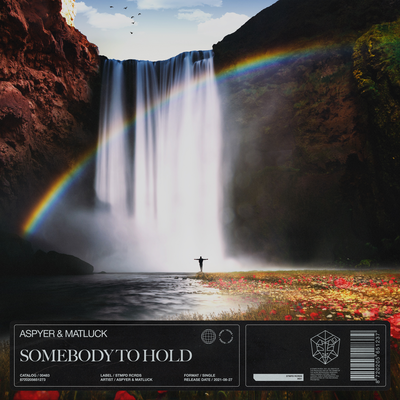 Somebody To Hold By Aspyer, Matluck's cover