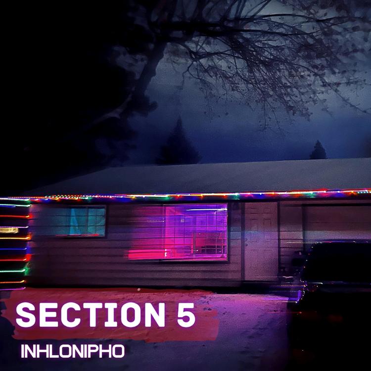 Section 5's avatar image