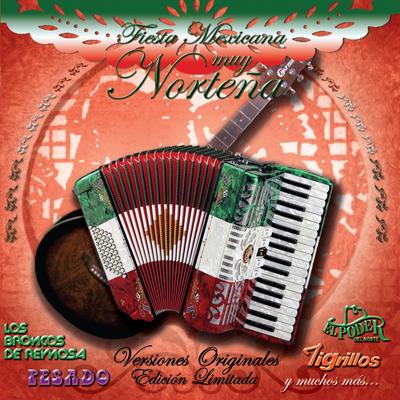 Fiesta Mexicana Muy Norteña (USA)'s cover