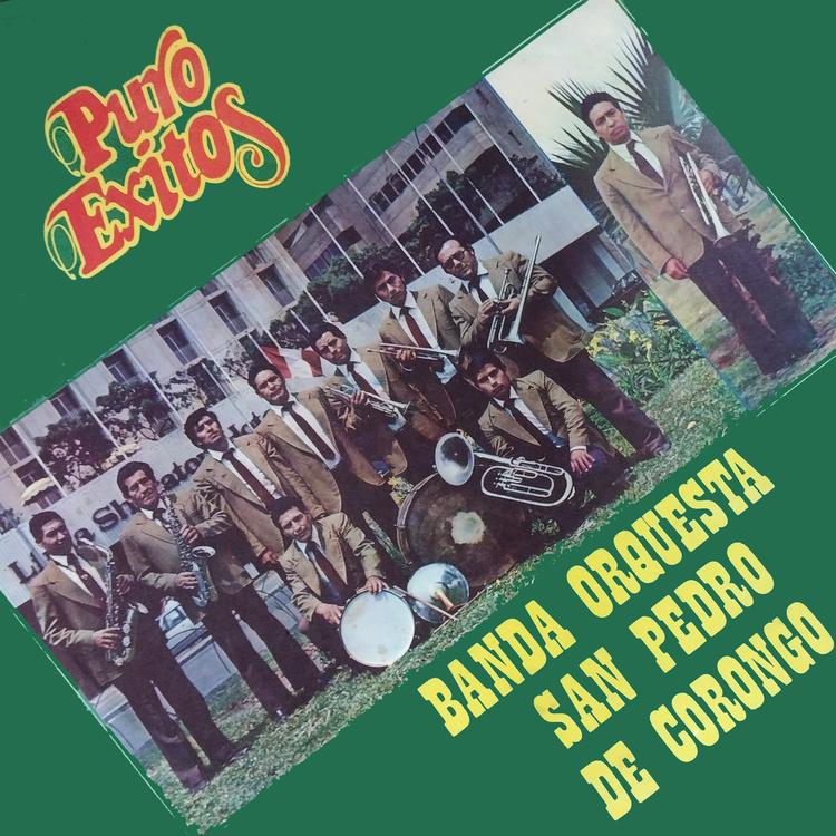 Banda Musical San Pedro de Corongo's avatar image