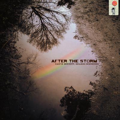 After the storm By Calvin Bennett, Ricardo Schneider's cover