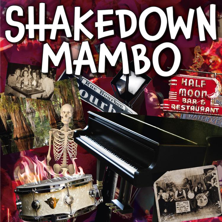 Shakedown Mambo's avatar image