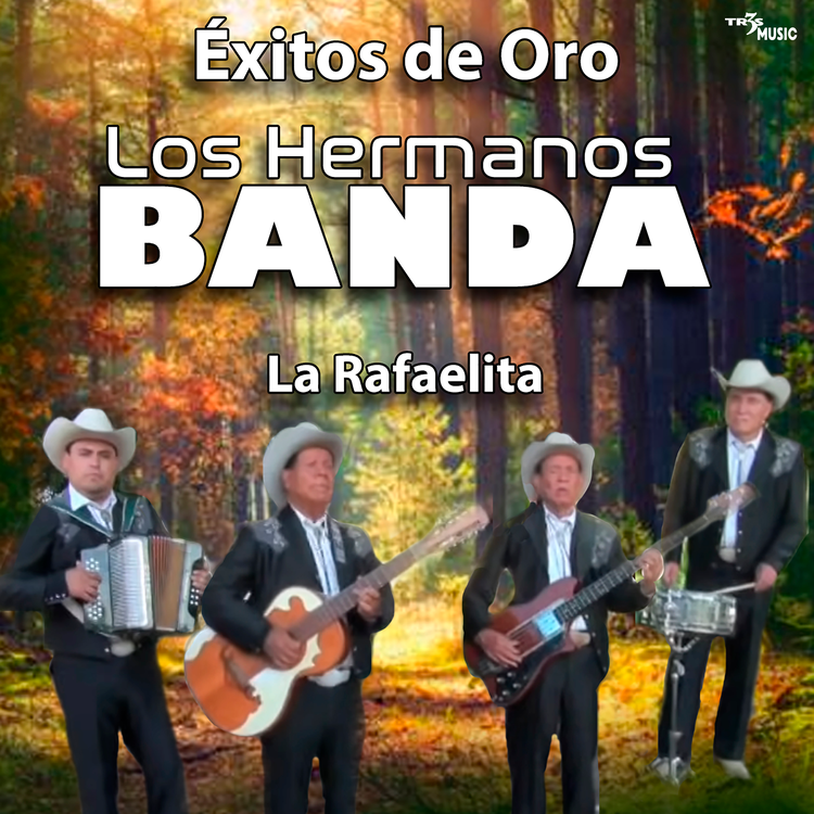 Hermanos Banda's avatar image