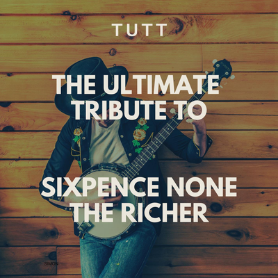 There She Goes (Originally Performed By Sixpence None The Richer) By T.U.T.T's cover