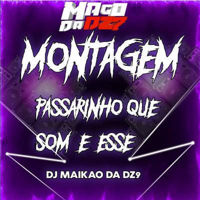 MONTAGEM  PASSARINHO QUE SOM É ESSE's cover