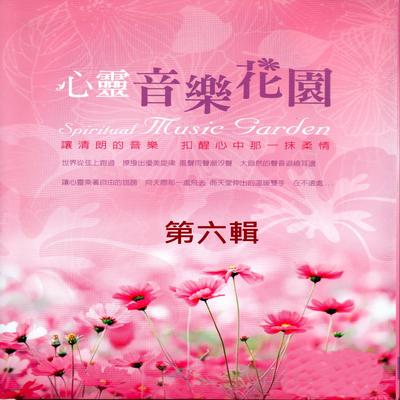 心靈音樂花園 第六輯's cover