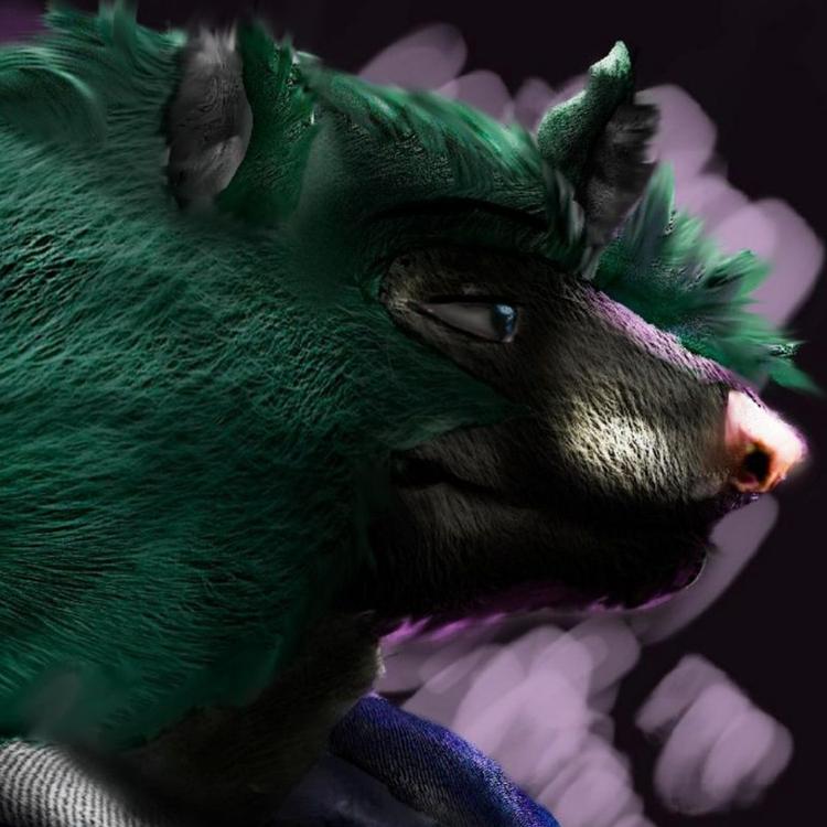 itsthewolffox's avatar image