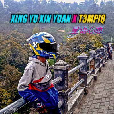 Xing Yu Xin Yuan (星语心愿) X T3MPIQ (Remix)'s cover