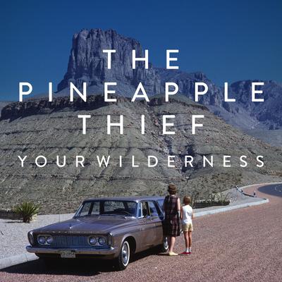 In Exile By The Pineapple Thief's cover