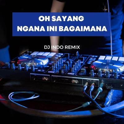 DJ Indo Remix's cover