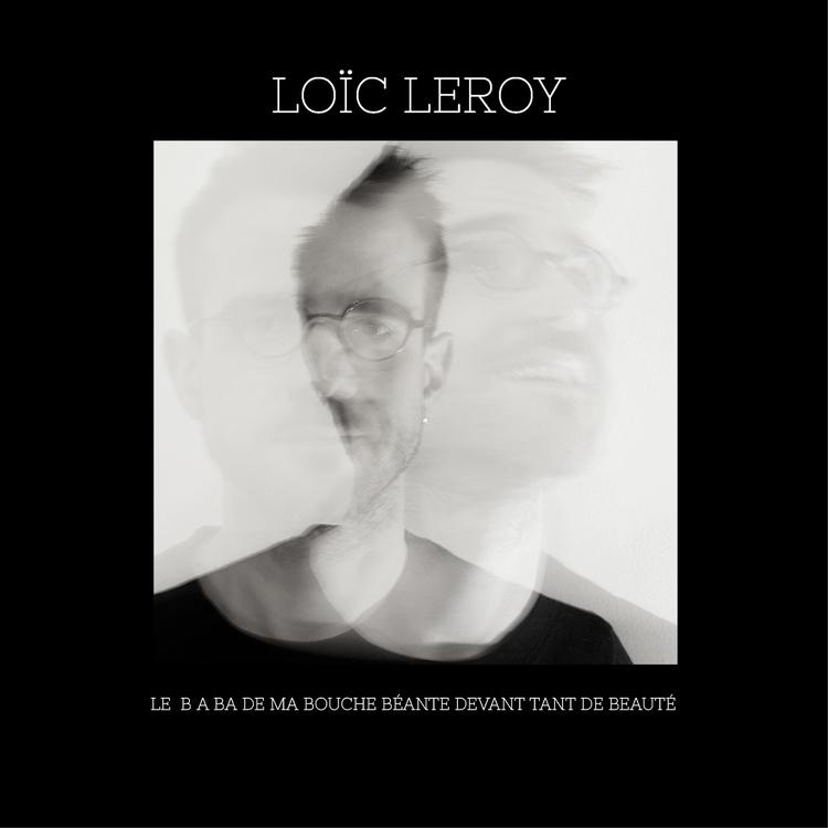 Loïc Leroy's avatar image