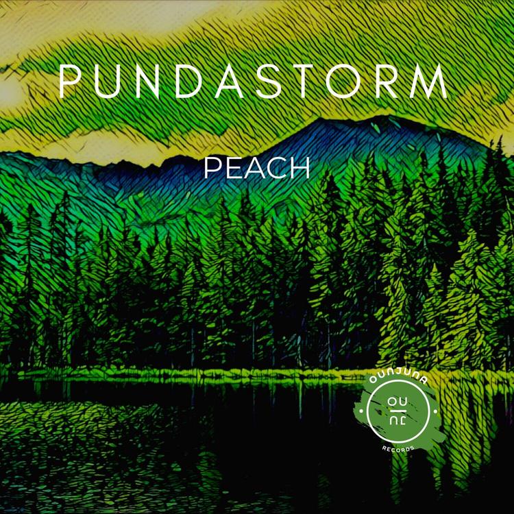 Pundastorm's avatar image