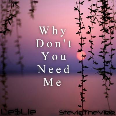 Why Don't You Need Me By Le$lie, Stevie the Vibe's cover