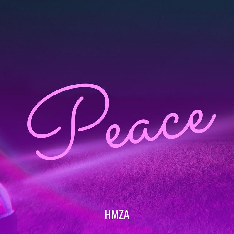 HMZA.'s avatar image