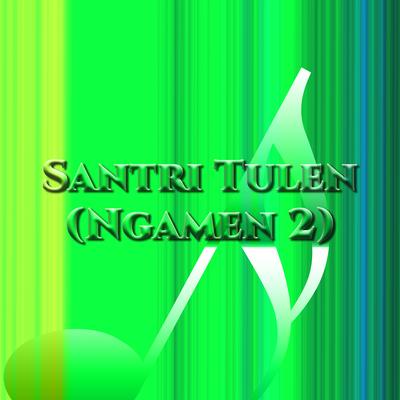 Santri Tulen (Ngamen 2)'s cover