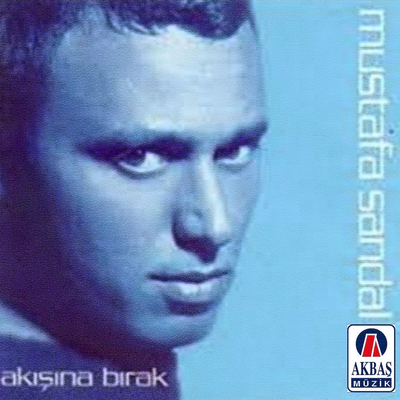 Akışına bırak's cover