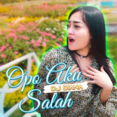 Opo Aku Salah (Remix)'s cover