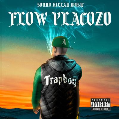 Flow Placozo's cover