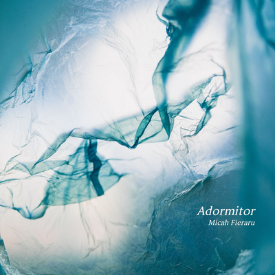 Adormitor By Micah Fieraru's cover