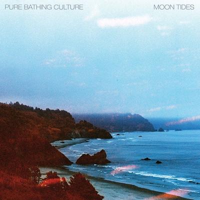 Temples of the Moon By Pure Bathing Culture's cover