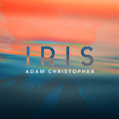 Iris (Acoustic)'s cover