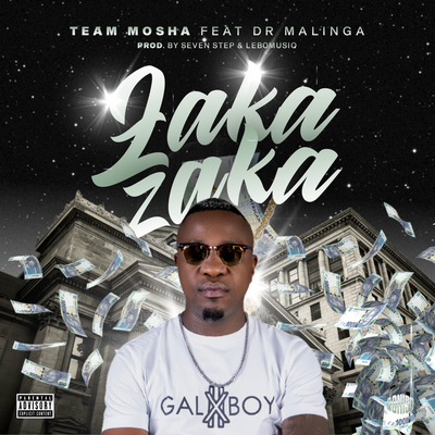 Zaka Zaka By Team Mosha, Dr Malinga's cover