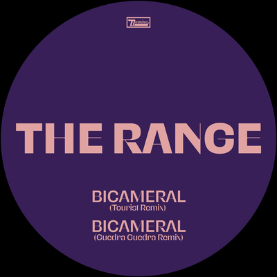 Bicameral (Remixes)'s cover