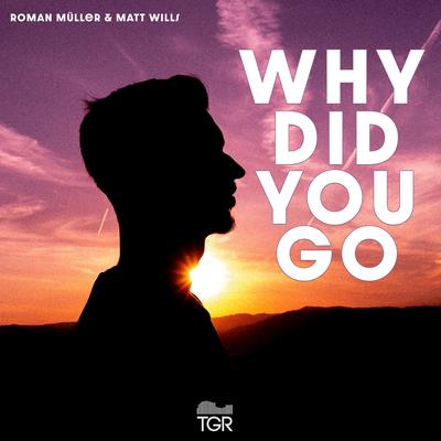 Why Did You Go By Roman Müller, Matt Wills's cover
