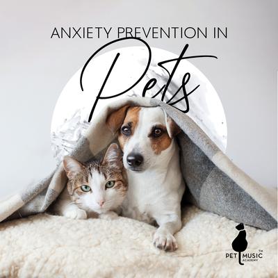 Love Your Pets By Pet Music Academy's cover