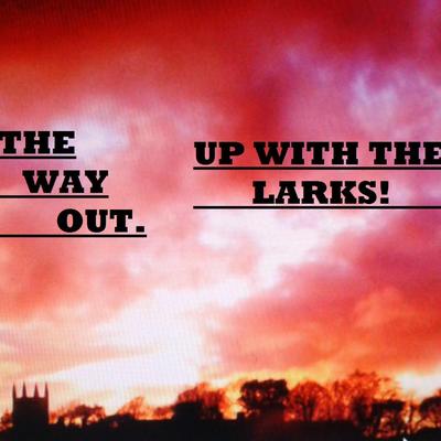 UP WITH THE LARKS's cover