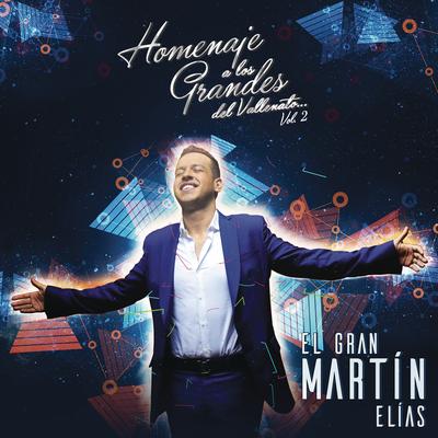 Homenaje a Los Grandes Vol. 2's cover