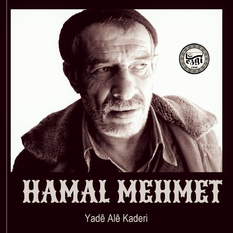 Hamal Mehmet's avatar image