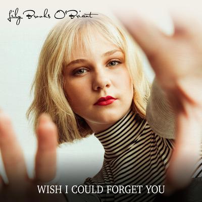 Wish I Could Forget You By Lily Brooks O'Briant's cover