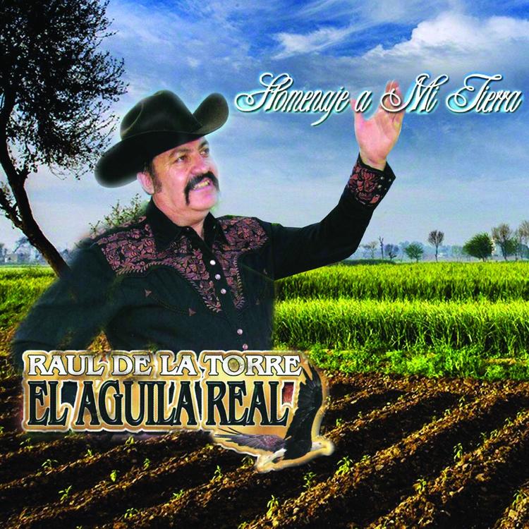 Raul De La Torre El Aguila Real's avatar image