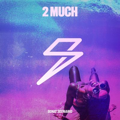 2 Much By Webstir, Sonic Scenario, ladium's cover