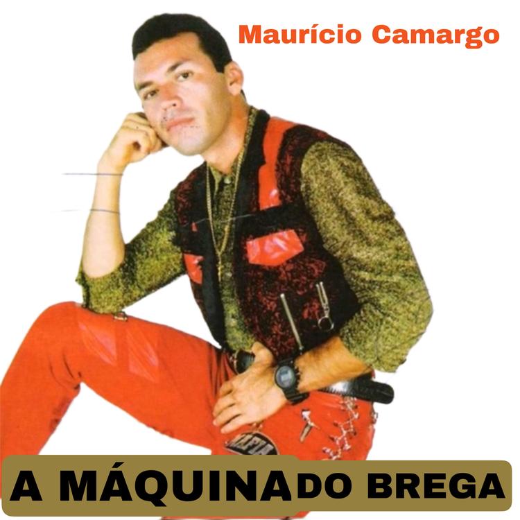 Maurício Camargo cantor's avatar image