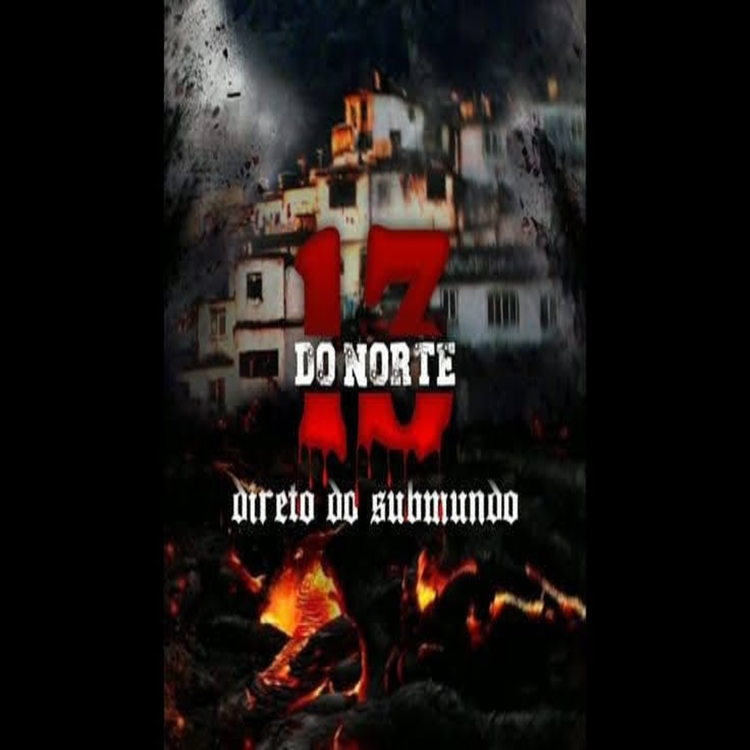 13 do norte's avatar image