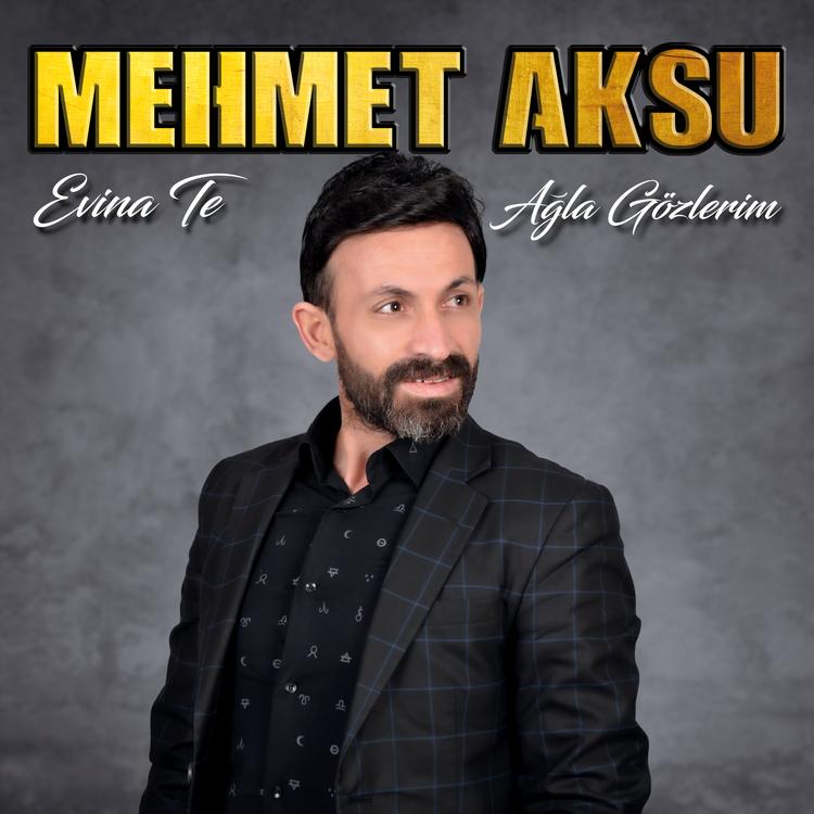 Mehmet Aksu's avatar image