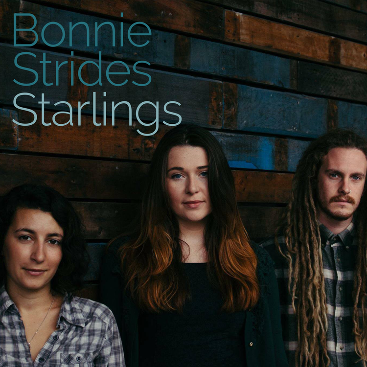 Bonnie Strides's avatar image