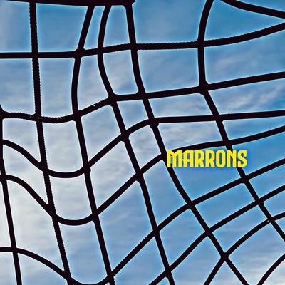 Marrons's cover