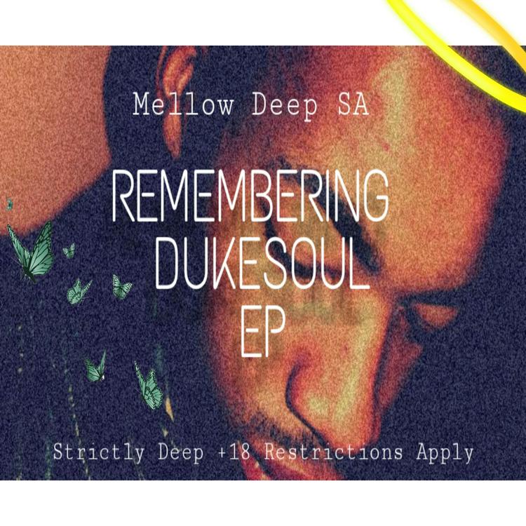 Mellow Deep SA's avatar image