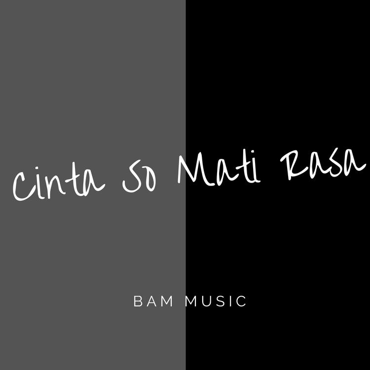 Bam Music's avatar image