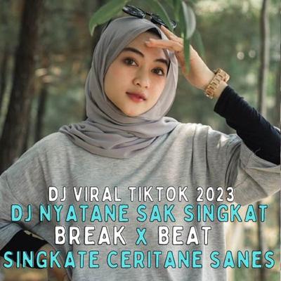 DJ NYATANE SAK SINGKAT SINGKATE CERITANE FULLBASS KANEE's cover