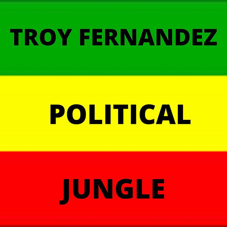 Troy Fernandez's avatar image