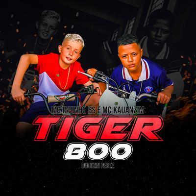 Tiger 800's cover