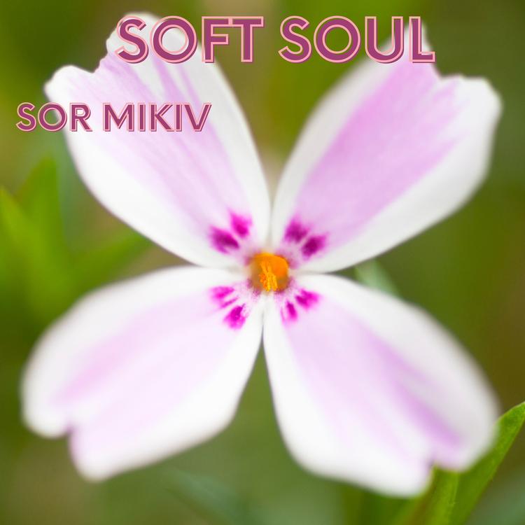 Sor Mikiv's avatar image