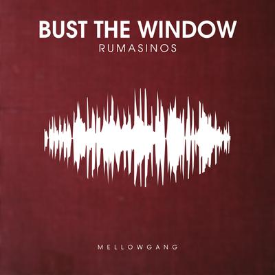 Bust the Window (Original Mix)'s cover